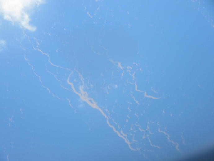 What is this strange orange stuff I always see when flying over the Gulf of Mexico and Caribbean?