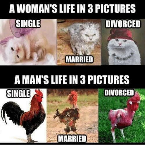 Is marriage the woman's ticket towards money?