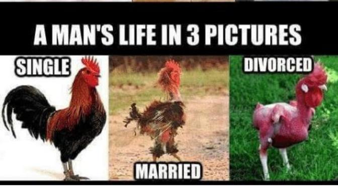 Is marriage the woman's ticket towards money?