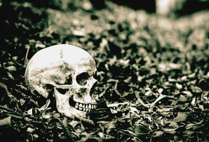 What will happen to your body after you die?
