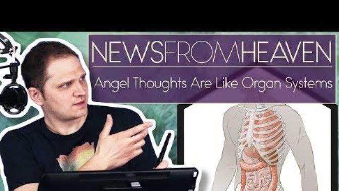 Are the thoughts of angels like the ways that the human organ systems function?