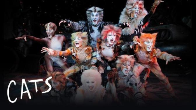 Were you a fan of the Cats musical?