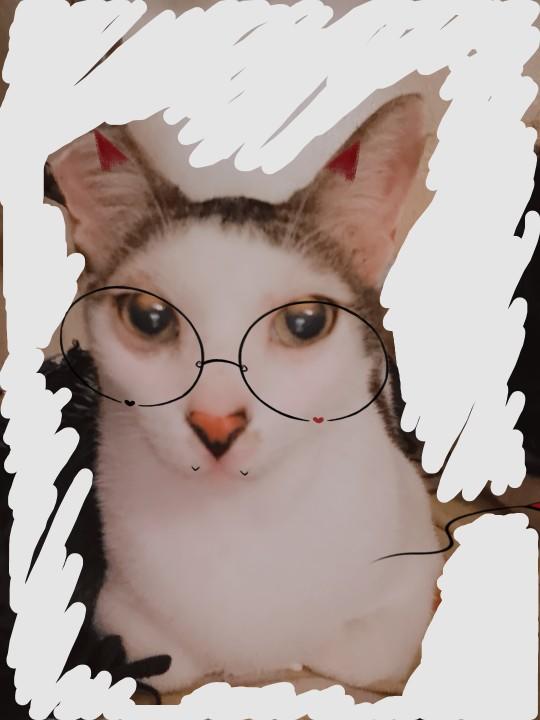 Do glasses make a girl more attractive?