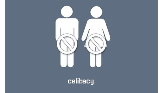 What are your reasons to keep your relationship celibate?