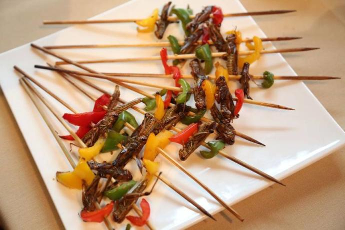 Would You Rather Go Vegetarian Or Eat Insects?