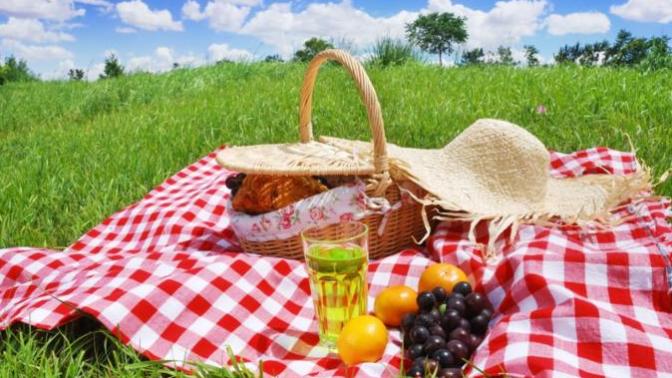 What Food Would You Bring On A Picnic?