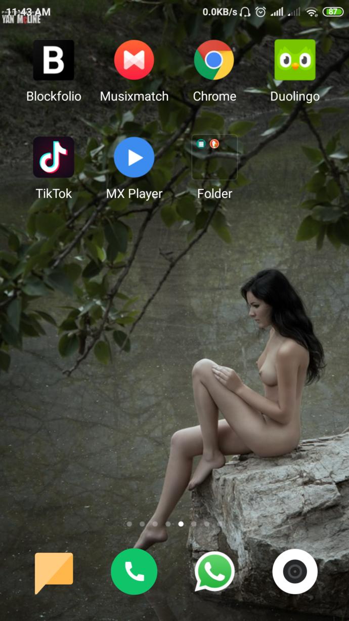 Screenshot your phone home screen?