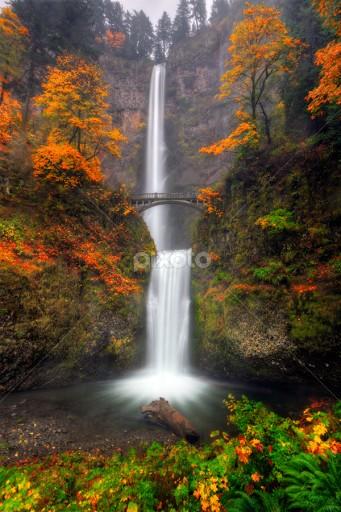 Weekend trip to Oregon or Disneyland?