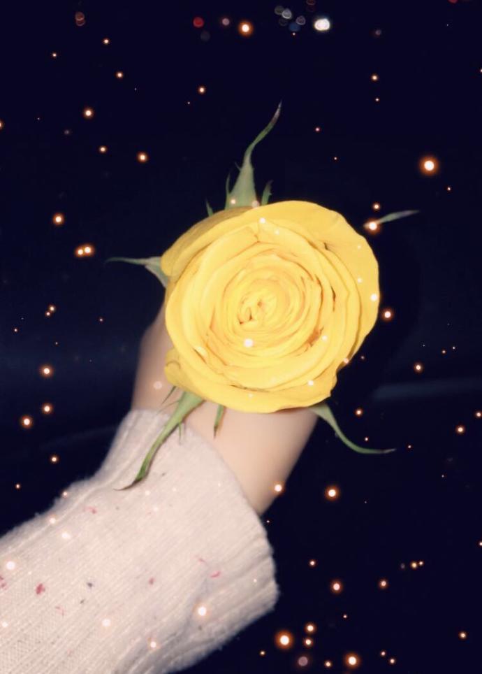 Do You Have A Favorite Flower?
