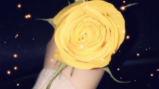 Do You Have A Favorite Flower?