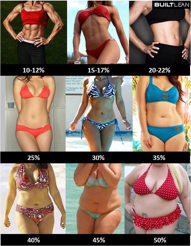 Is 26% body fat on females attractive?