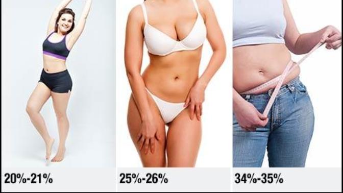 Is 26% body fat on females attractive?