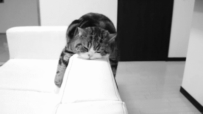 Sleep all day err day