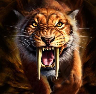 If you could turn into any animal...What animal would you turn into?