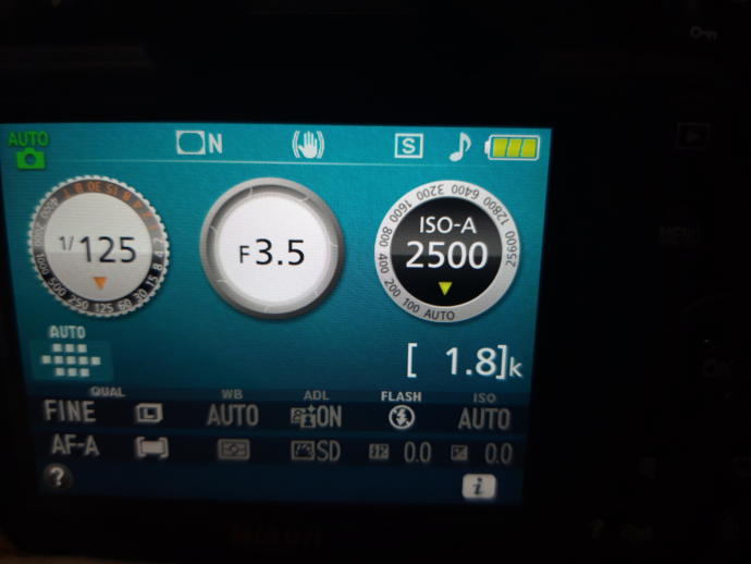 How to control the iso in d3500?