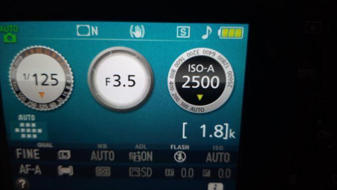 How to control the iso in d3500?
