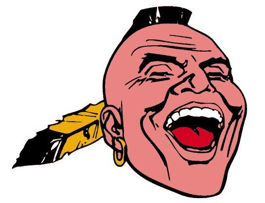 Is it offensive for sports teams to use Native American names and mascots?