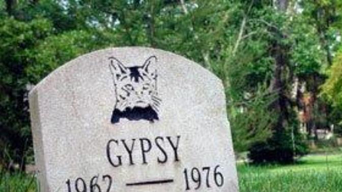 Girls, Will you make fun of a guy if he is crying cause his long term (9 years ) pet cat/ dog died?