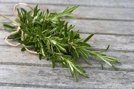 Do you like rosemary?