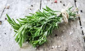Do you like rosemary?