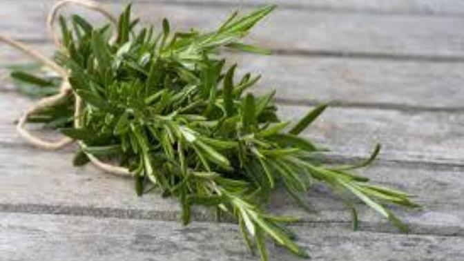 Do you like rosemary?
