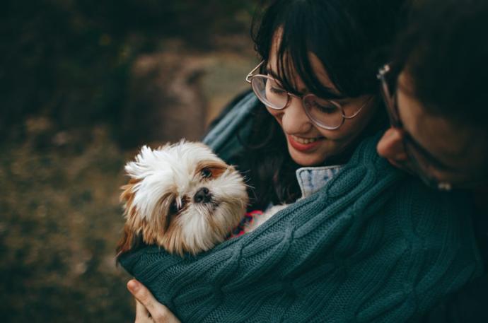 Why do people treat dogs better than humans?
