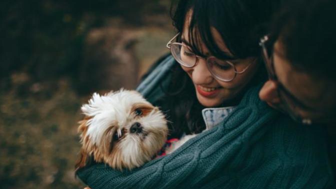 Why do people treat dogs better than humans?
