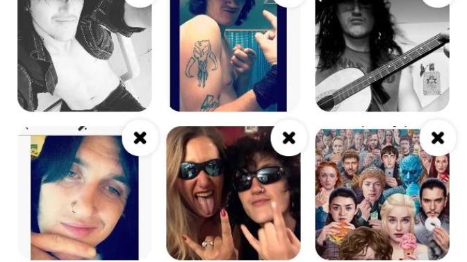 Are these good pics for my hinge profile?