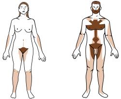 Would you groom your body hair to your partner's liking?