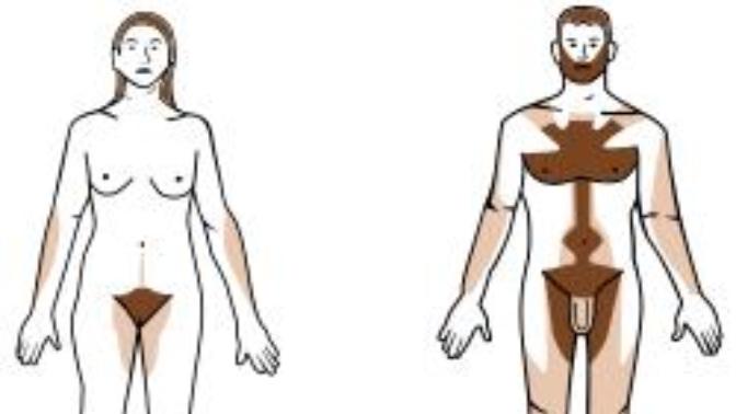 Would you groom your body hair to your partner's liking?