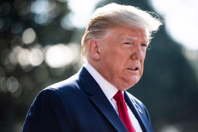 Why do you love Trump?