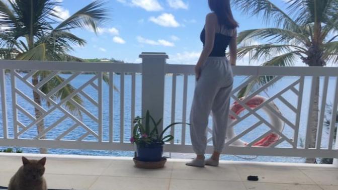 Which 2 pictures should I post?