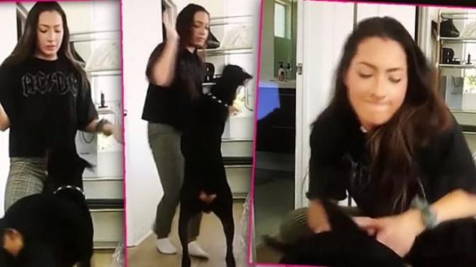Do you feel people, particularly white people, care about dogs/animals too much? Even more than people?
