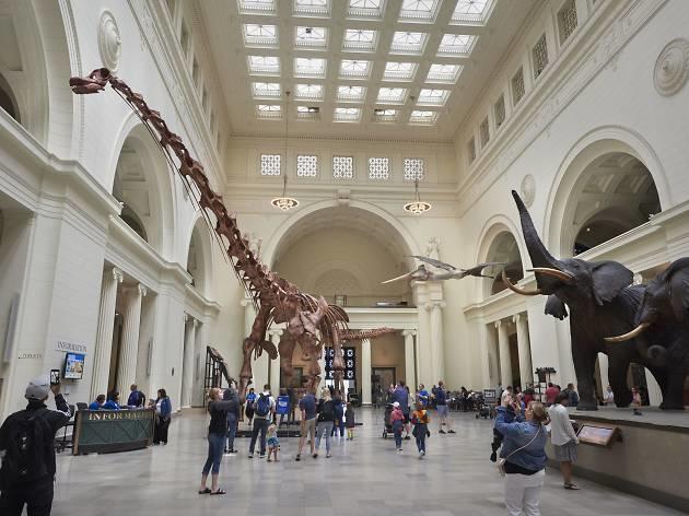 Which kind of person are you at a museum?