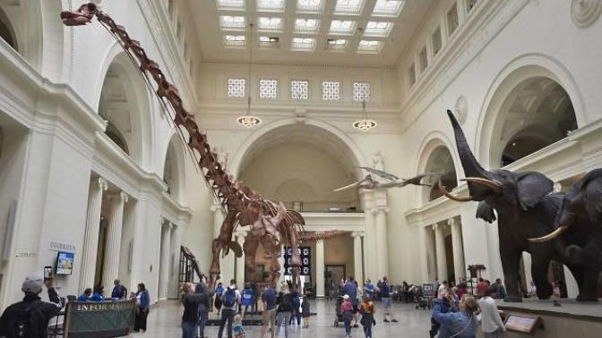 Which kind of person are you at a museum?