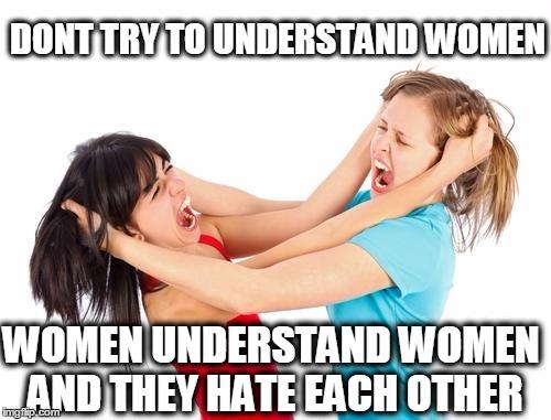 Girls, have you ever gotten physical with another girl? Guys have you ever seen 2 girls fighting?