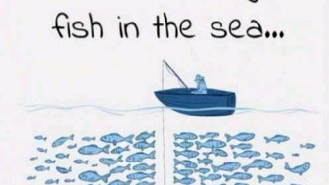 Do you believe there are “plenty of fish in the sea” or that “there’s someone out there for everyone”?