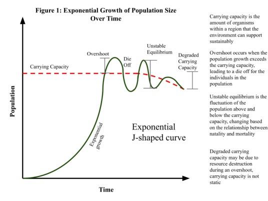 Is overpopulation actually a problem?