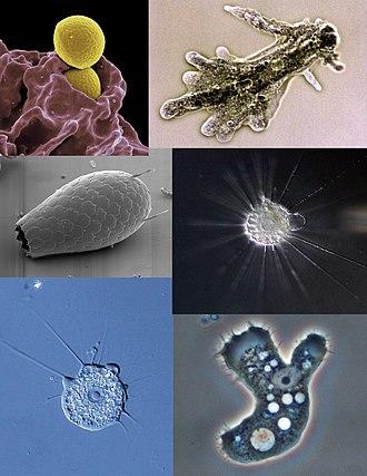 What are the secrets of the universe?