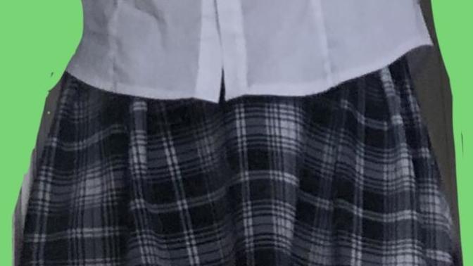Can you tell me the problem/s with this outfit and what to fix~ In In terms of respectability (I like it. It is comfortable. Still I have concerns)?