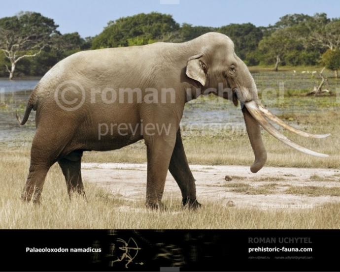 What's your favorite ice age elephant?