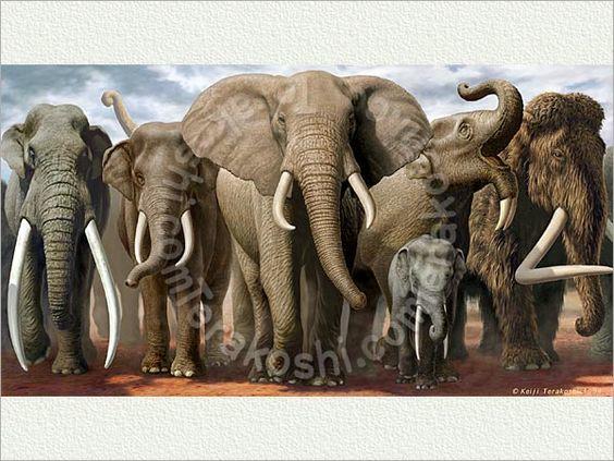 What's your favorite ice age elephant?