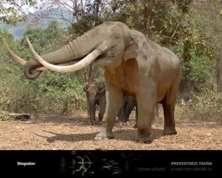 What's your favorite ice age elephant?