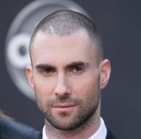 Thoughts on a buzzed head and a full beard?