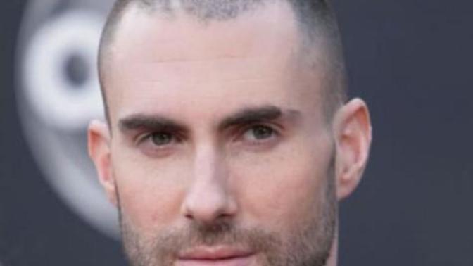 Thoughts on a buzzed head and a full beard?