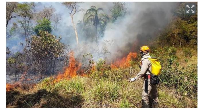 Do you think the Amazon Rainforest Fires are caused by Global Warming?