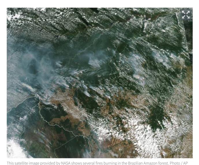 Do you think the Amazon Rainforest Fires are caused by Global Warming?