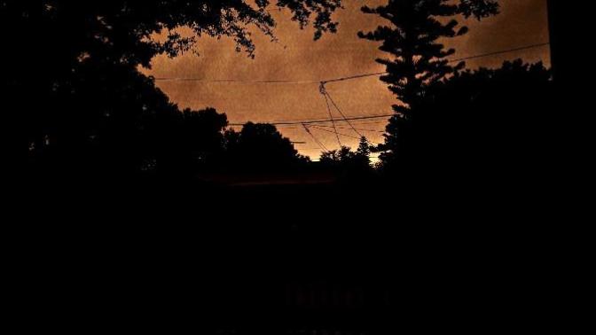 Hows this picture I took?
