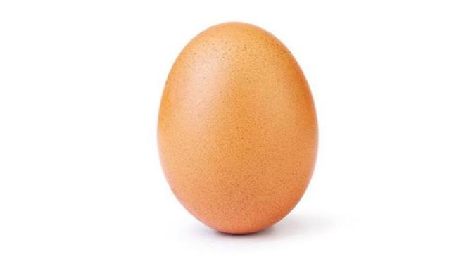 Do you buy free range eggs?