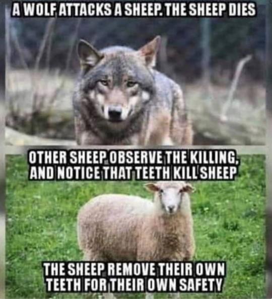 Don't you agree this is exactly how Anti-Gunners think?